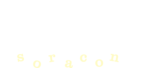 空宙婚-soracon-